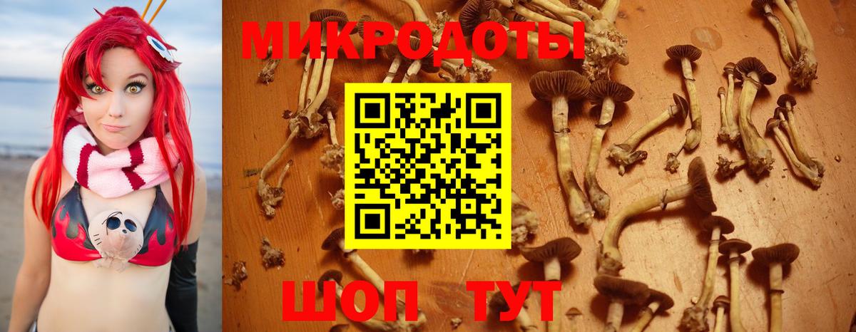 Галлюциногенные грибы Magic Shrooms  Галлюциногенные грибы мухоморы  Архангельск  Вход с VPN 